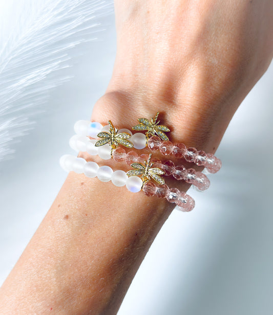 The Dreamy Dragonfly