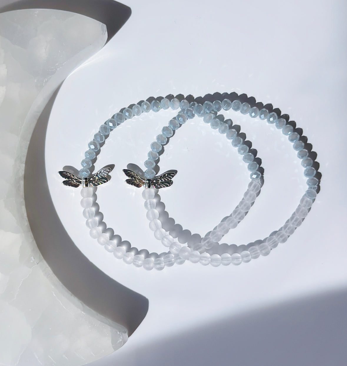 The Dainty Dragonfly