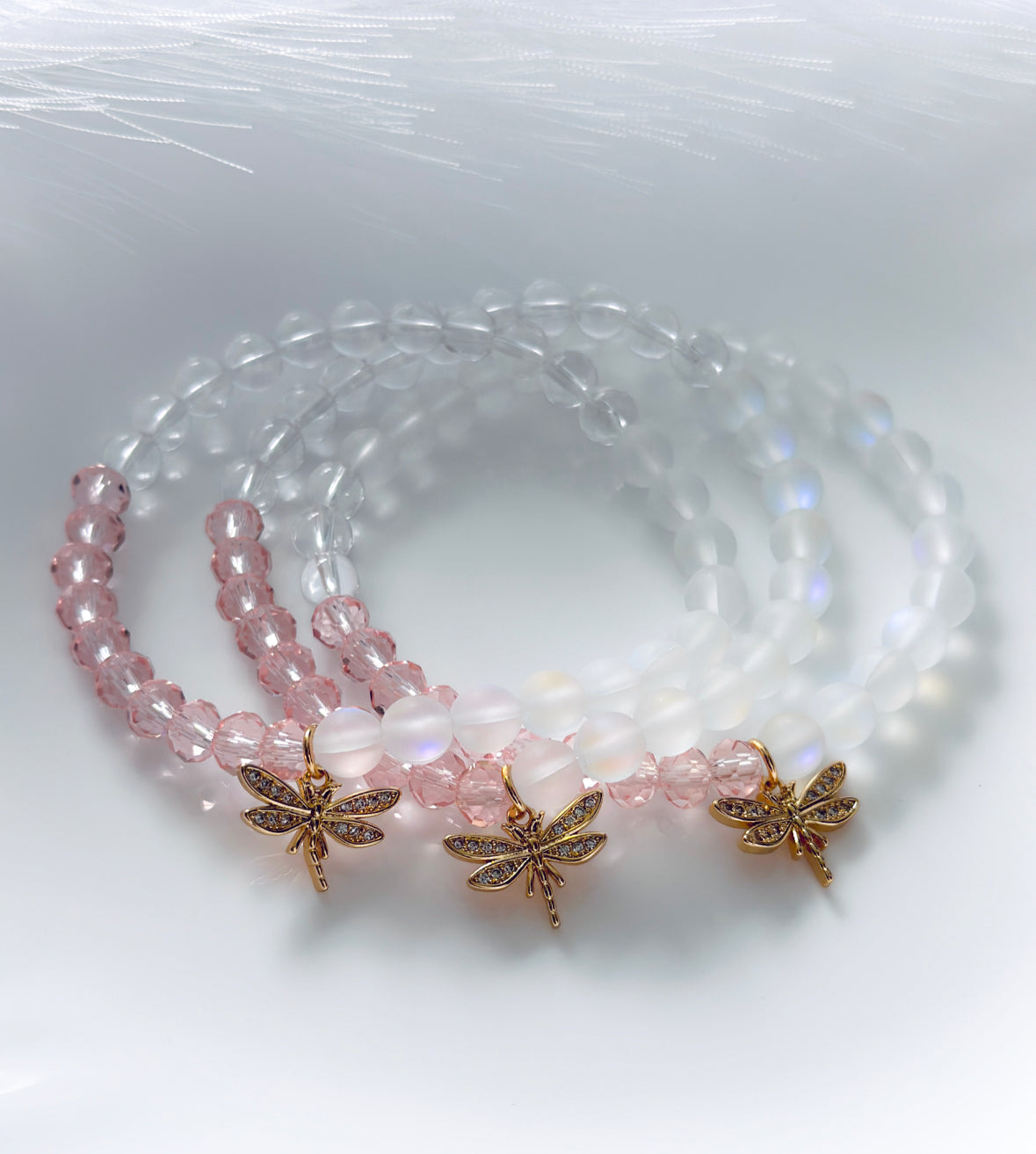 The Dreamy Dragonfly