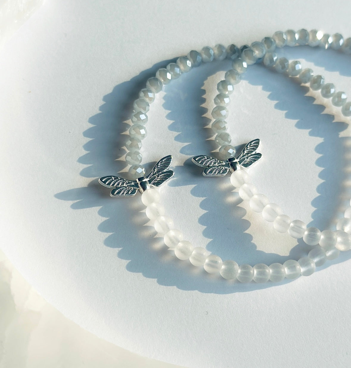 The Dainty Dragonfly